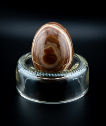 Coquetier transparent
